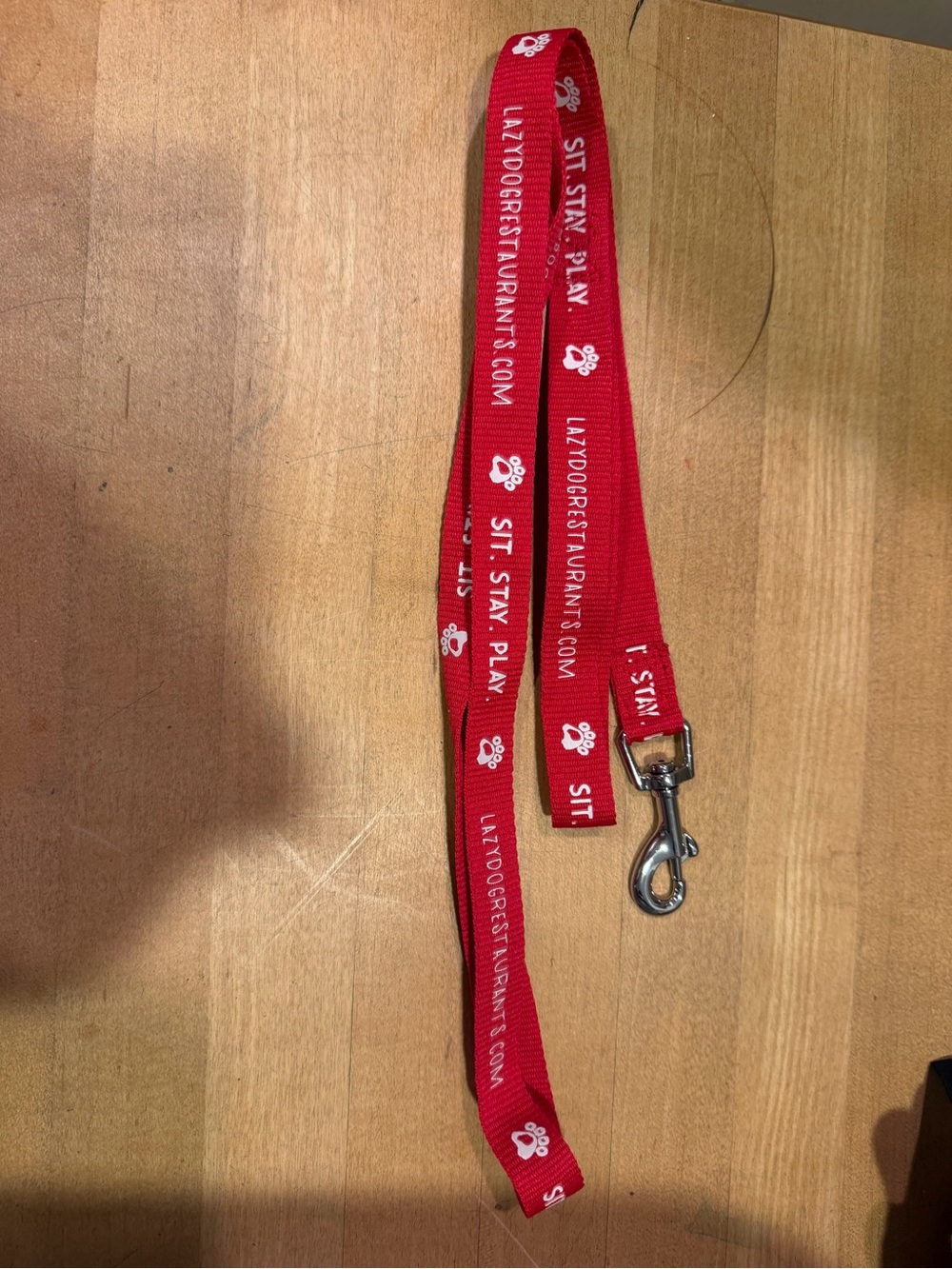 Lazy Dog Restaurant Leash